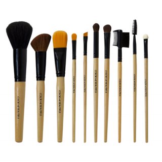 FLORI ROBERTS: #14791 - PROFESSIONAL BRUSH SET